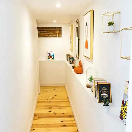Loft, Briques Roses Et Authentiquement Toulousain Apartamento