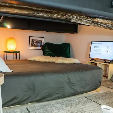 Loft, Briques Roses Et Authentiquement Toulousain Toulouse