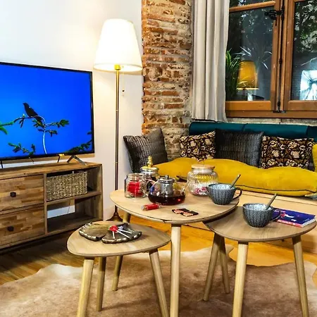 Loft, Briques Roses Et Authentiquement Toulousain Apartamento *