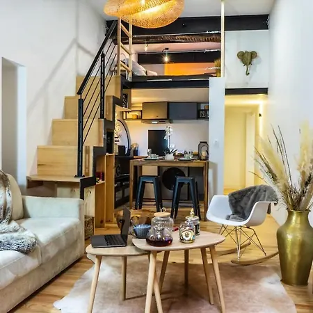 Loft, Briques Roses Et Authentiquement Toulousain 公寓 *