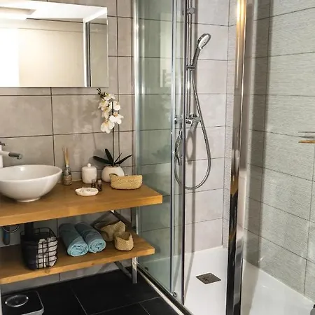 Loft, Briques Roses Et Authentiquement Toulousain Daire Toulouse