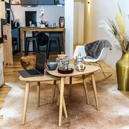 Loft, Briques Roses Et Authentiquement Toulousain * Toulouse