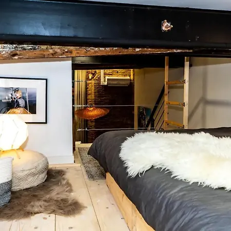 Daire Loft, Briques Roses Et Authentiquement Toulousain Toulouse