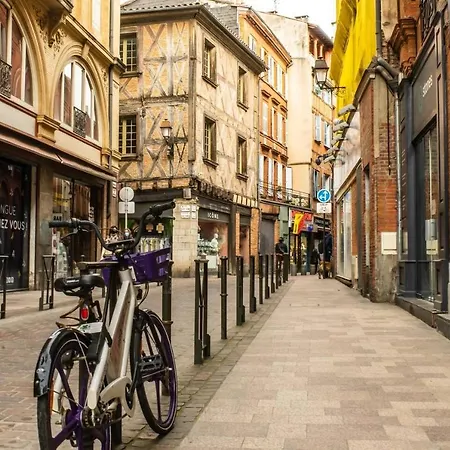 Apartment Loft, Briques Roses Et Authentiquement Toulousain Toulouse