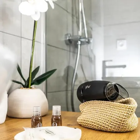Loft, Briques Roses Et Authentiquement Toulousain Apartment *