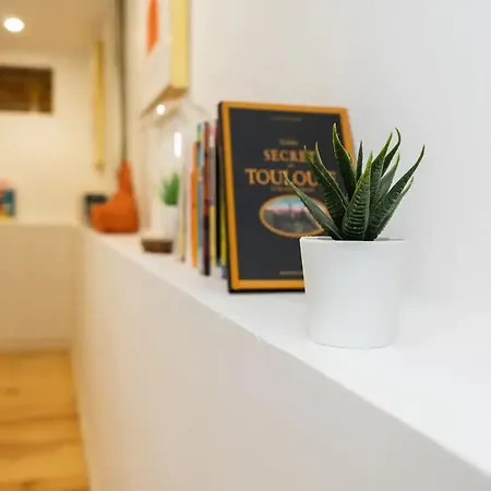 Loft, Briques Roses Et Authentiquement Toulousain Apartment *