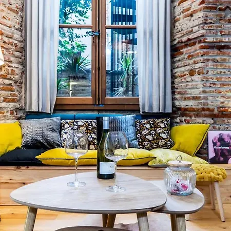 Loft, Briques Roses Et Authentiquement Toulousain Apartment Toulouse